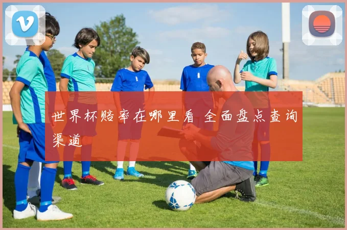 世界杯赔率在哪里看 全面盘点查询渠道