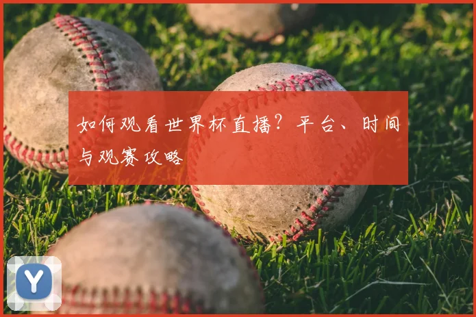 如何观看世界杯直播？平台、时间与观赛攻略