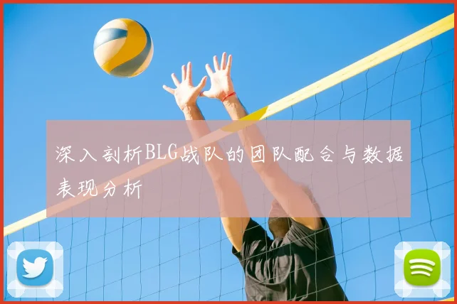 深入剖析BLG战队的团队配合与数据表现分析