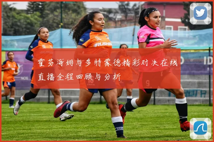 霍芬海姆与多特蒙德精彩对决在线直播全程回顾与分析
