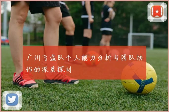 广州飞盘队个人能力分析与团队协作的深度探讨