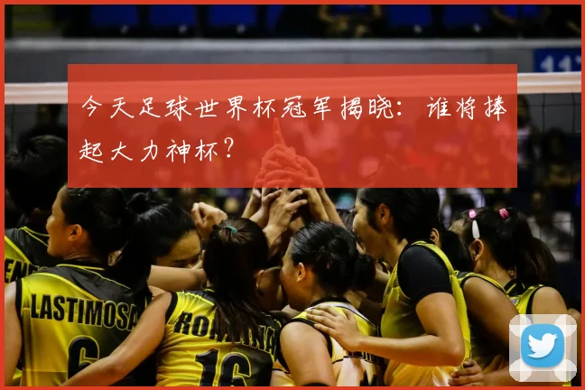 今天足球世界杯冠军揭晓:谁将捧起大力神杯?