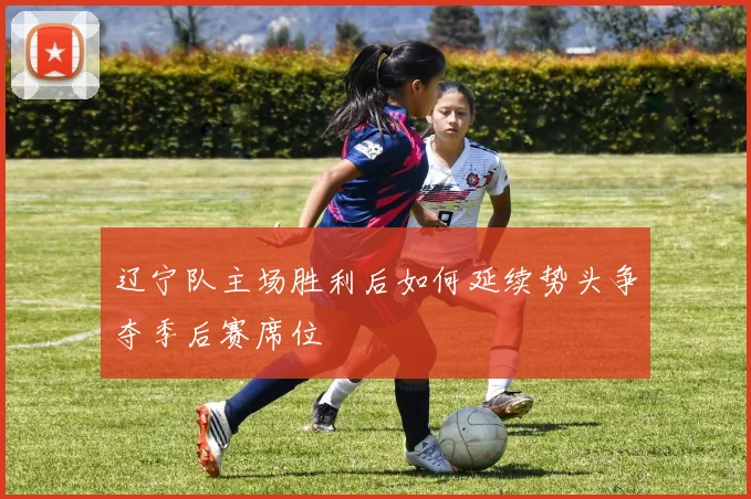 辽宁队主场胜利后如何延续势头争夺季后赛席位