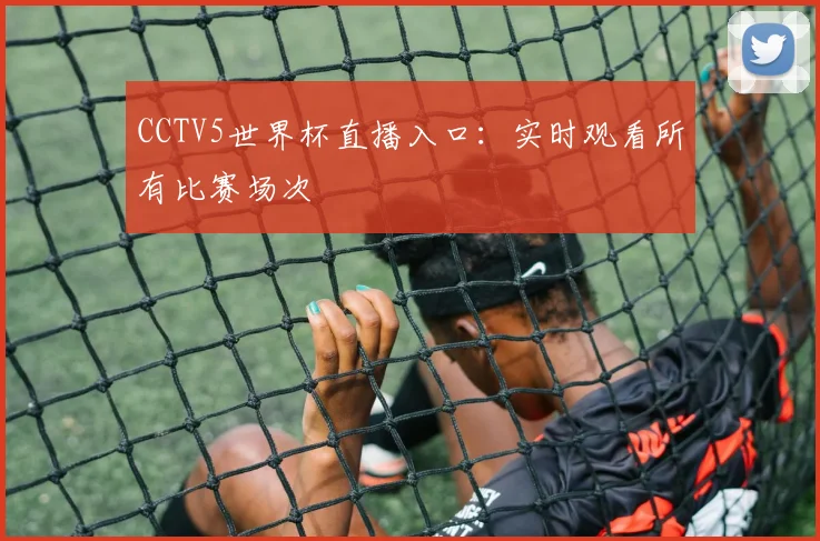 CCTV5世界杯直播入口：实时观看所有比赛场次