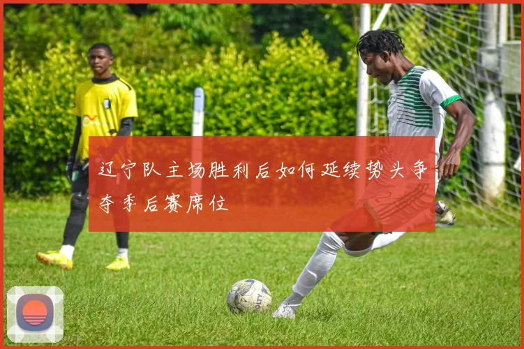辽宁队主场胜利后如何延续势头争夺季后赛席位