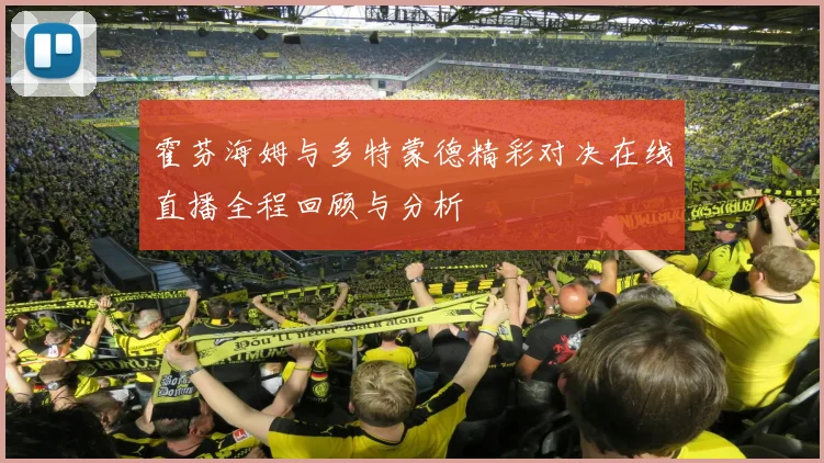 霍芬海姆与多特蒙德精彩对决在线直播全程回顾与分析