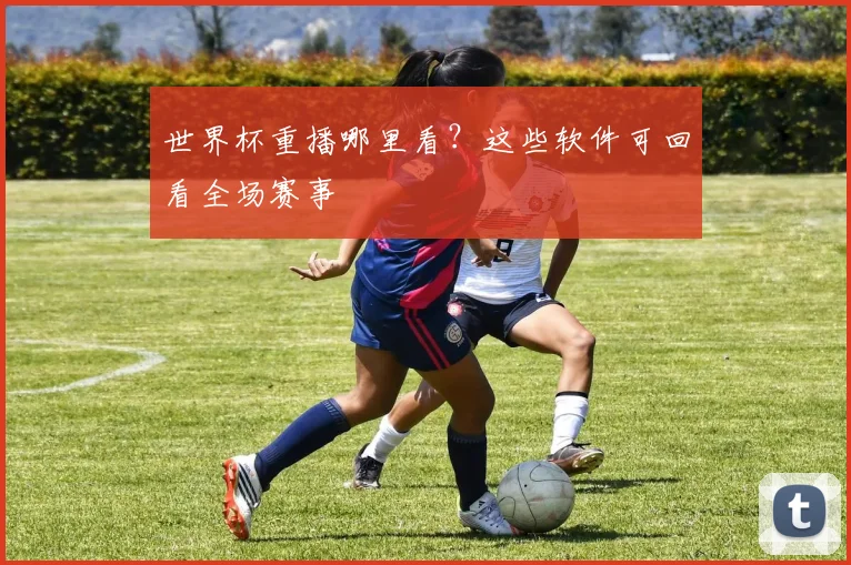 世界杯重播哪里看？这些软件可回看全场赛事