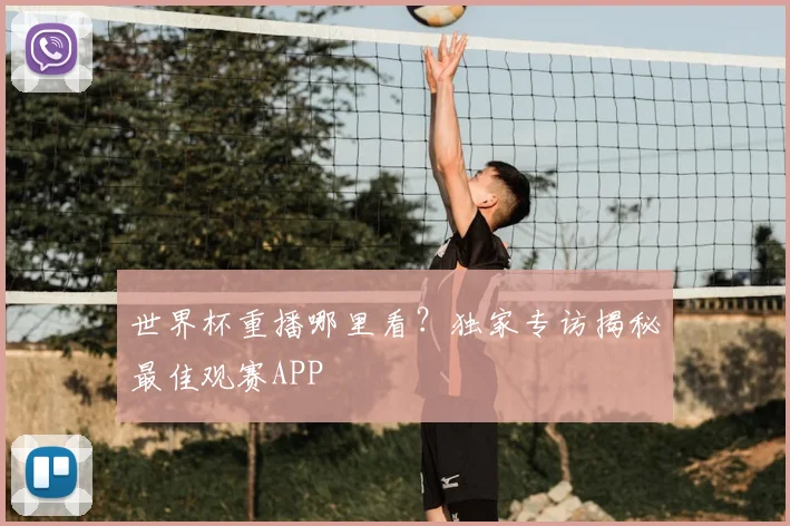世界杯重播哪里看？独家专访揭秘最佳观赛APP