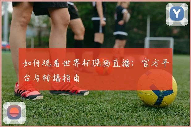 如何观看世界杯现场直播：官方平台与转播指南