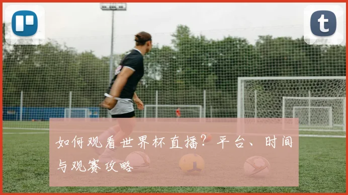 如何观看世界杯直播？平台、时间与观赛攻略