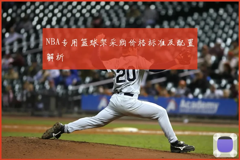 NBA专用篮球架采购价格标准及配置解析